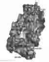 Fig. 01 - Antibody-mediated modulation of allergy