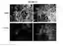 Fig. 14 - METHODS FOR SCREENING FOR THERAPEUTIC MOLECULES AND USE OF THE MOLECULES THEREFROM