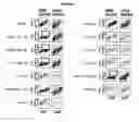 Fig. 07 - Frizzled-binding agents and uses thereof