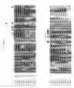 Fig. 09 - Frizzled-binding agents and uses thereof