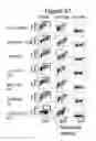 Fig. 55 - Frizzled-binding agents and uses thereof