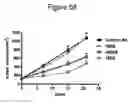 Fig. 56 - Frizzled-binding agents and uses thereof