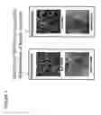 Fig. 03 - Methods of impairing osteoclast differentiation using antibodies that bind siglec-15