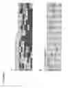 Fig. 07 - Methods of impairing osteoclast differentiation using antibodies that bind siglec-15