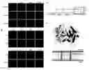 Fig. 01 - TREX1 AS A MARKER FOR LUPUS ERYTHEMATOSUS