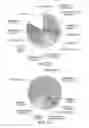 Fig. 05 - GENES INVOLVED IN MITOCHONDRIAL BIOGENESIS