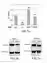 Fig. 06 - GENES INVOLVED IN MITOCHONDRIAL BIOGENESIS