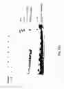 Fig. 17 - Methods and Reagents for Regulation of Cellular Responses in Biological Systems