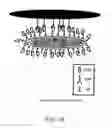 Fig. 21 - Methods and Reagents for Regulation of Cellular Responses in Biological Systems