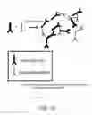 Fig. 23 - Methods and Reagents for Regulation of Cellular Responses in Biological Systems