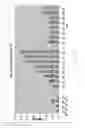 Fig. 34 - Methods of modulating the negative chemotaxis of immune cells