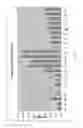Fig. 38 - Methods of modulating the negative chemotaxis of immune cells
