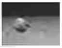 Fig. 01 - Pathogen for bacterial poultry disease
