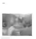 Fig. 10 - Pathogen for bacterial poultry disease