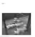 Fig. 14 - Pathogen for bacterial poultry disease