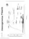 Fig. 09 - ACUTTE TRANSMITTED HIV ENVELOPE SIGNATURES