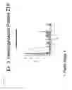 Fig. 26 - ACUTTE TRANSMITTED HIV ENVELOPE SIGNATURES
