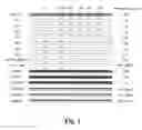 Fig. 02 - N-linked glycosylation alteration in E0 and E2 glycoprotein of classical swine fever virus and novel classical swine fever virus vaccine