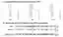 Fig. 01 - Development of dengue virus vaccine components