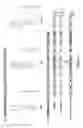 Fig. 02 - Development of dengue virus vaccine components