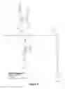 Fig. 08 - Development of dengue virus vaccine components