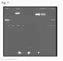 Fig. 08 - Compositions and methods to elicit immune responses against pathogenic organisms using yeast based vaccines