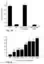 Fig. 09 - Anti-bacterial peptides and methods of treating diseases using same
