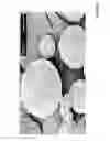 Fig. 10 - BIODEGRADABLE COMPOSITIONS AND MATERIALS