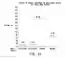 Fig. 07 - METHODS AND COMPOSITIONS FOR TREATING AND DIAGNOSING KIDNEY DISEASE