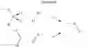 Fig. 25 - METHODS AND COMPOSITIONS FOR TREATING AND DIAGNOSING KIDNEY DISEASE