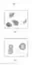 Fig. 02 - Meltable Binder for Melt Granulation and/or Pelletization