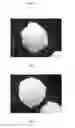 Fig. 05 - Meltable Binder for Melt Granulation and/or Pelletization