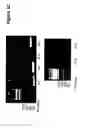 Fig. 08 - Composition and methods for modulating cell proliferation and cell death