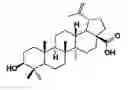 Fig. 02 - Method for preparing an aqueous solution containing triterpenic acid, aqueous solution containing triterpenic acid, and use thereof