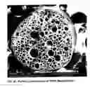 Fig. 07 - Gas-effusing compositions and methods of making and using same