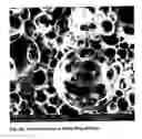 Fig. 08 - Gas-effusing compositions and methods of making and using same