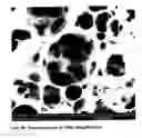 Fig. 09 - Gas-effusing compositions and methods of making and using same