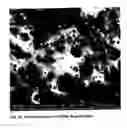 Fig. 10 - Gas-effusing compositions and methods of making and using same