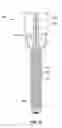 Fig. 14 - Apparatus for automated application of hardfacing material to drill bits