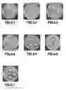 Fig. 03 - METHOD FOR THE ANTIMICROBIAL PROTECTION OF AN OBJECT USING AN ANTIMICROBIAL PRESSURE-SENSITIVE ADHESIVE PLASTICS FILM