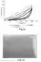 Fig. 10 - ACTIVATABLE ZERO STRAIN COMPOSITE LAMINATE