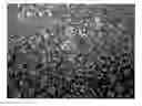 Fig. 01 - High-dielectric material