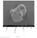 Fig. 02 - Composite PTFE materials and applications thereof