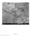 Fig. 04 - Composite PTFE materials and applications thereof