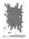 Fig. 05 - Sheet moulding compound