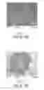 Fig. 02 - Cemented Tungsten Carbide-Based Material and Method for Making the Same