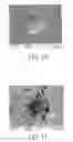 Fig. 10 - Cemented Tungsten Carbide-Based Material and Method for Making the Same