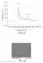 Fig. 11 - Cemented Tungsten Carbide-Based Material and Method for Making the Same
