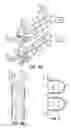 Fig. 04 - Fuel cell device and system
