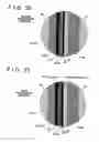 Fig. 26 - Fuel cell and vehicle having fuel cell